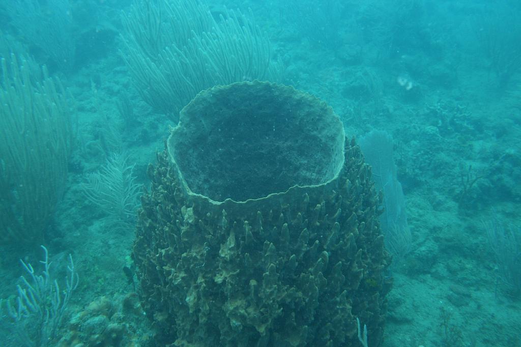 2008-05-17 17-25-46 H.JPG